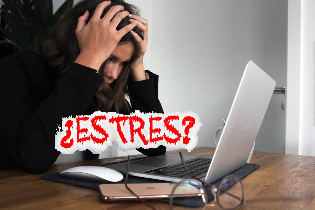 como manejar el estres 0 como manejar el estres