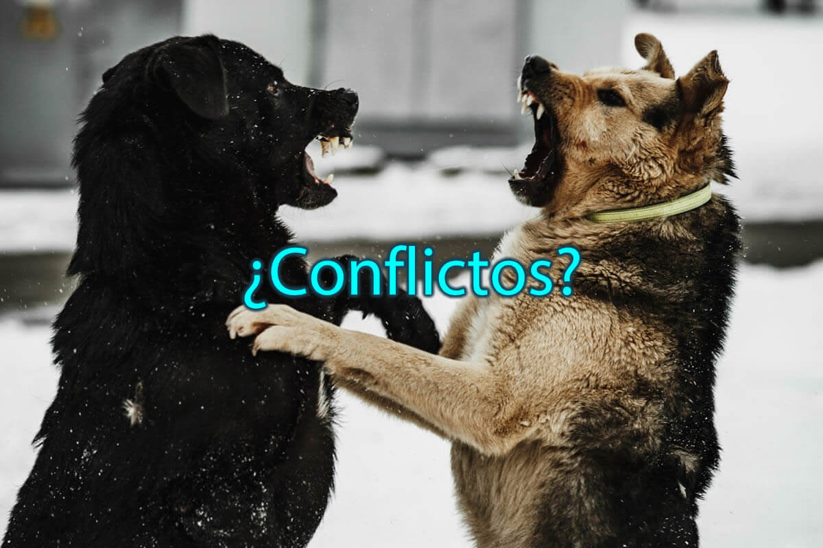 manejo de conflictos manejo de conflictos